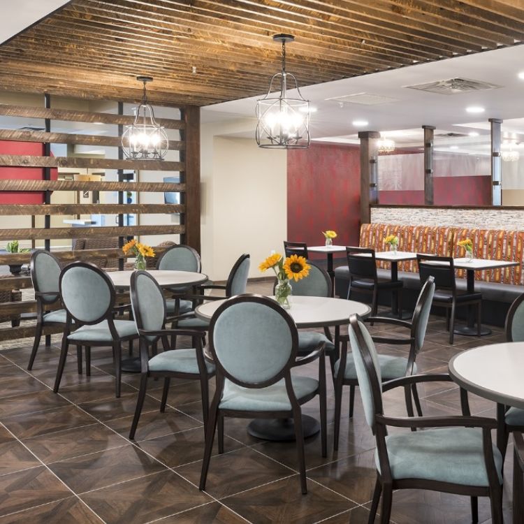 Round Aluminium Dining Chairs in Dining Area