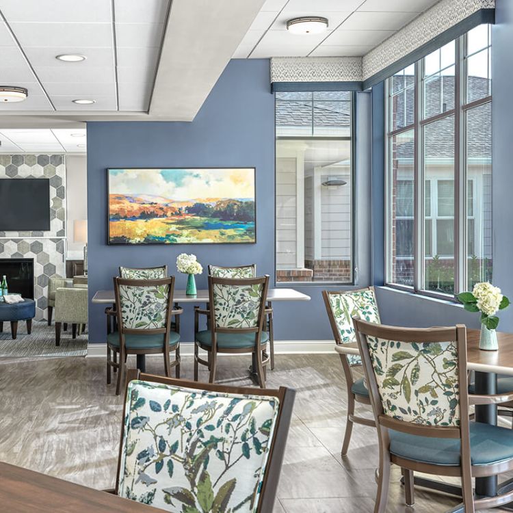 Senior Living Dining Chairs with Pattern for Nursing Home