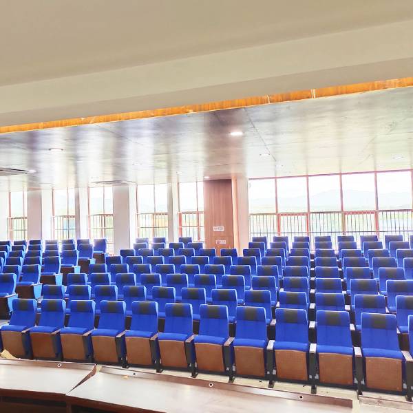 Affordable Auditorium Seats for Lecture Hall