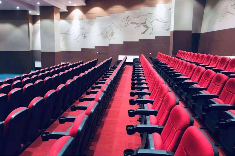 Custom Movie Theater Seats for You